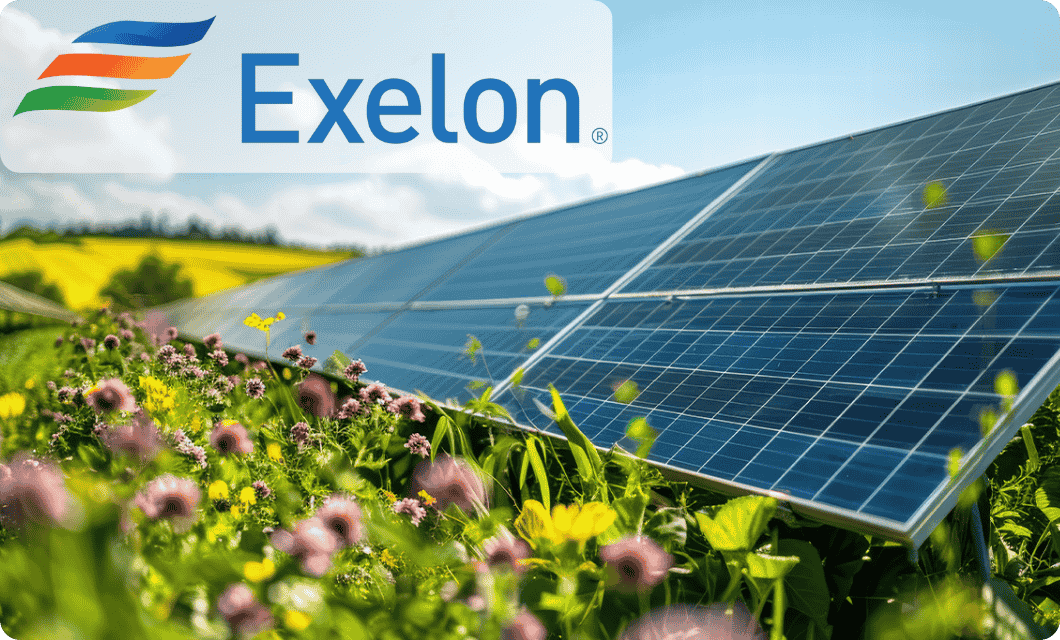 Solar panels in a flower-filled field, symbolizing sustainable energy transformation, operational efficiency, and environmental responsibility.